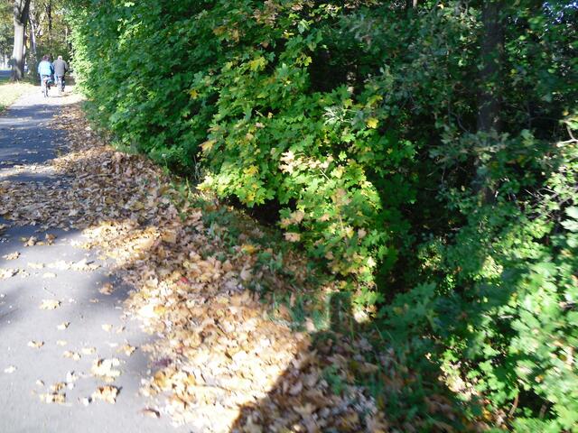 . . . herbstlich ist es . . .