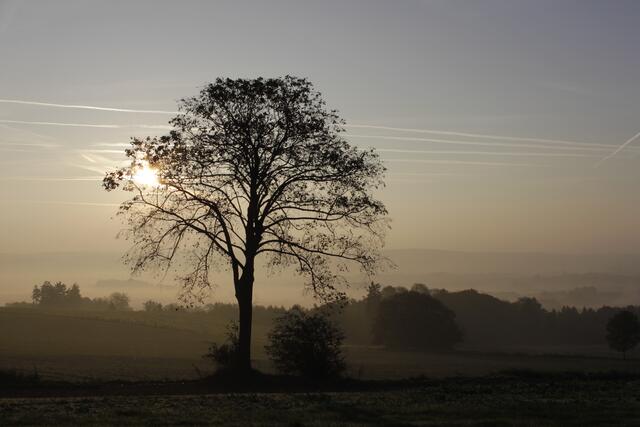 Sonne durchbricht den Nebel