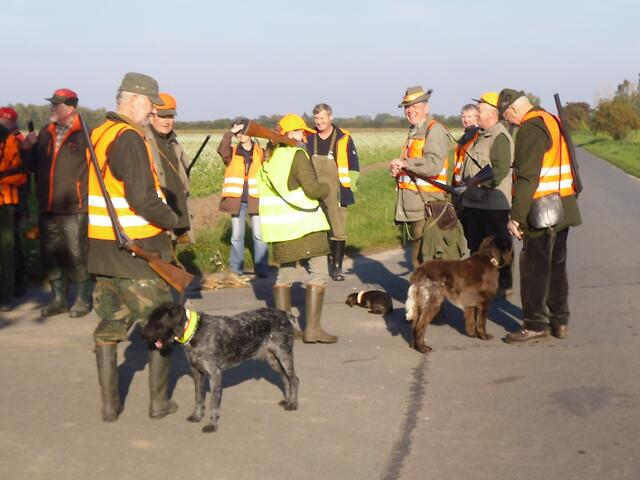 die Jäger mit ihren Hunden, bereit zur Treibjagd . . .