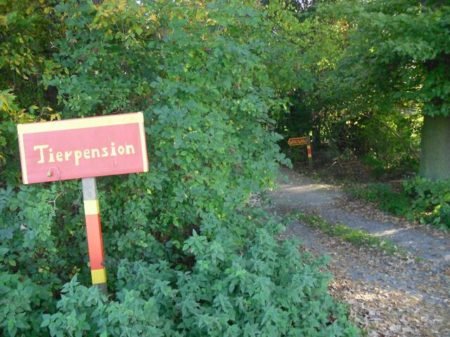 an der Tierpension "Wau Wau" . . .