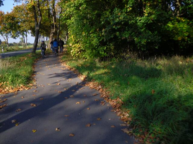 auf dem Radweg nach Otze . . .