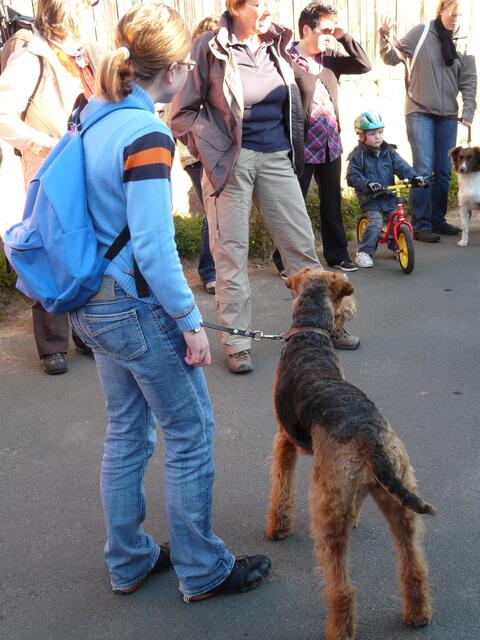 Wie immer mit dabei Hunde und ...
