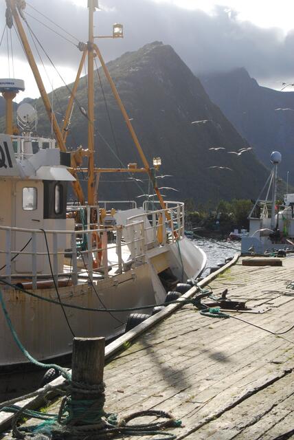 Husøya / Norwegen