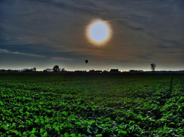 Ballonfahrt bei Sonnenuntergang - Zöschlingsweiler