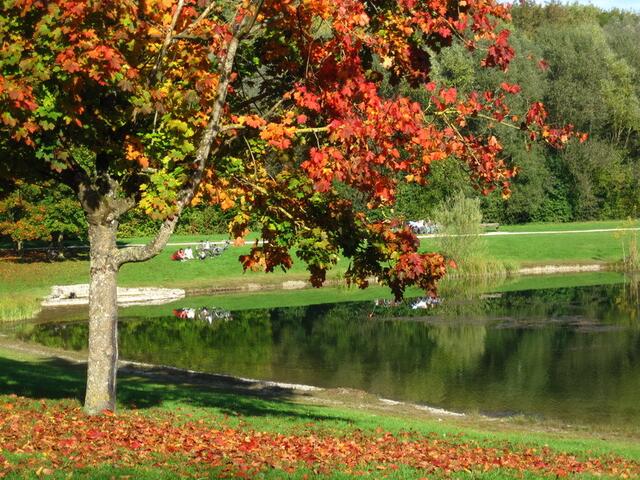 Am Auwaldsee bei Lauingen