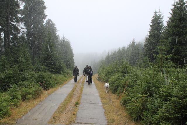 Einst der Plattenweg der NVA