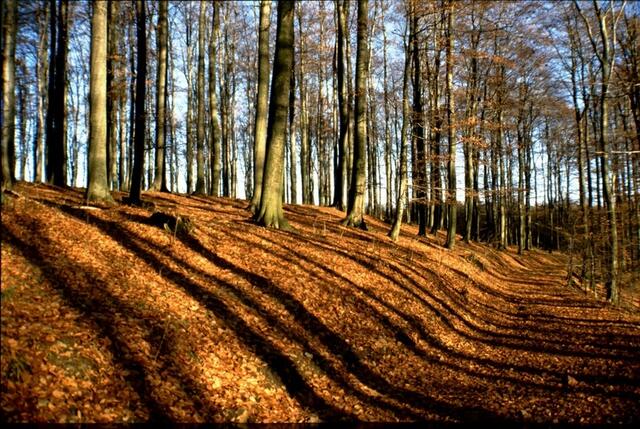 Licht und Schatten