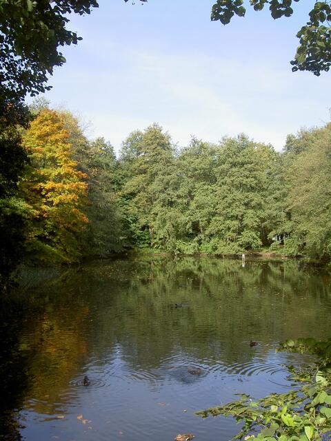 Eichenpark Herbst
