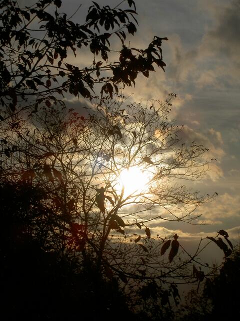 Sonne Witzeblick