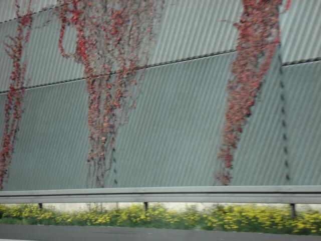 Ein wenig Buntes
