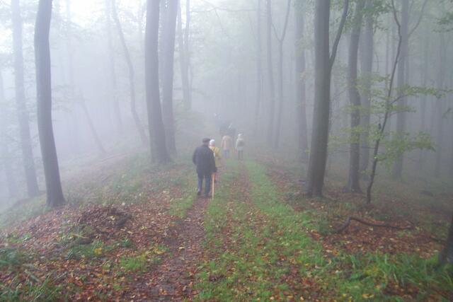 Im Nebel