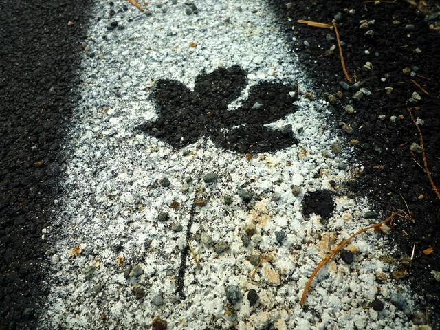 Schon vor Jahren mag dieses Ahornblatt gefallen sein, der Schatten einer Sprühmarkierung am Strassenrand zeigt es noch heute. (Cannobio/Italien)