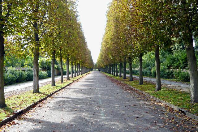 Die Allee "Am Grünen Gitter" führt direkt zu der touristischen Sehenswürdigkeit, dem Schloss Sanssouci.