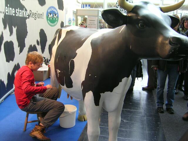Wie kommt die Milch in Eimer?