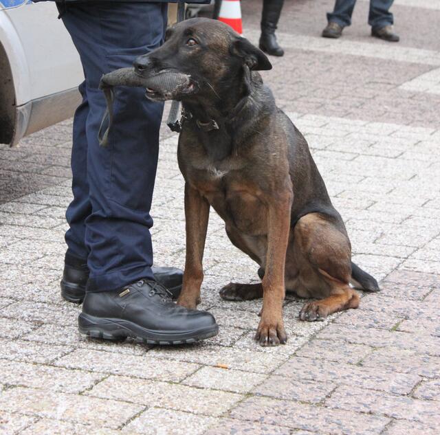 Für ihn alles nur ein Spiel