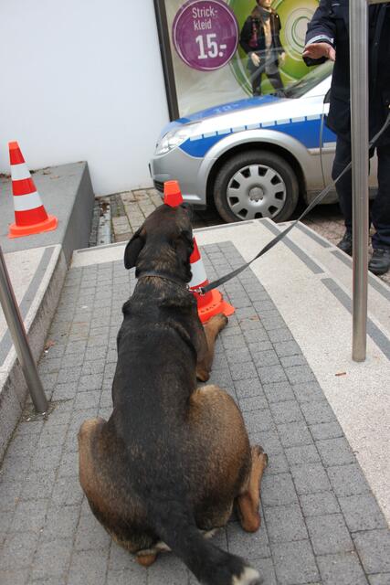 Hier ist es versteckt und wird so dem Hundeführer angezeigt