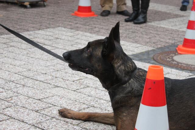 Auf zur nächsten Runde