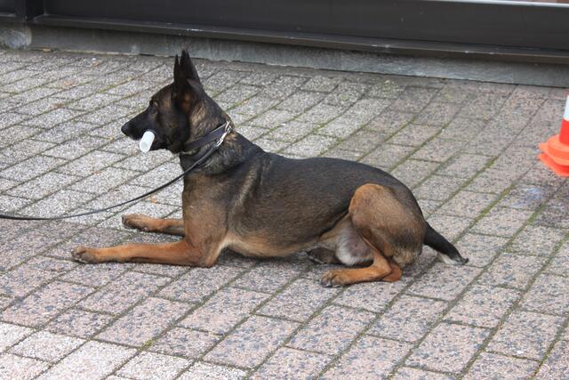 Gleich geht es los. Das Spielzeug ist das A und O.