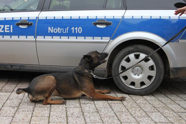 Diesmal war das Versteck im Bereich des Hinterrades