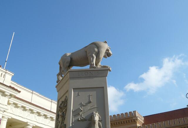 Hervorragend platziert, überblickt der Löwe von Peter Lenk das Geschehen auf dem Schweriner Marktplatz.