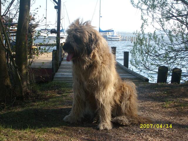 Ausflug ans Steinhuder Meer 2007!