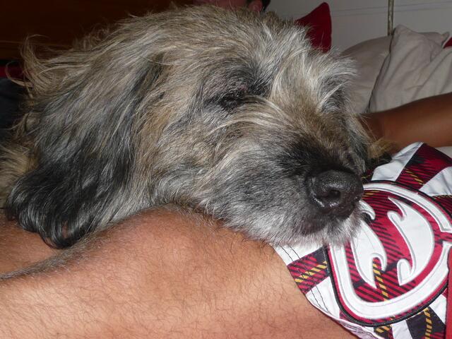 Kuscheln mit Bastian!