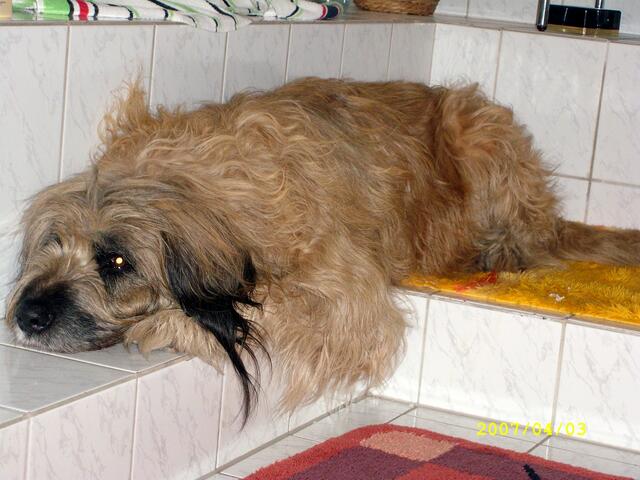 Herrchen Bastian in der Wanne - nicht ohne Aufpasser!