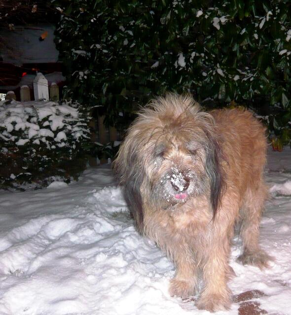 "Ich liebe Schnee!"