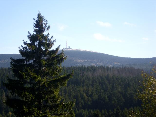 Brocken vom Torfhaus