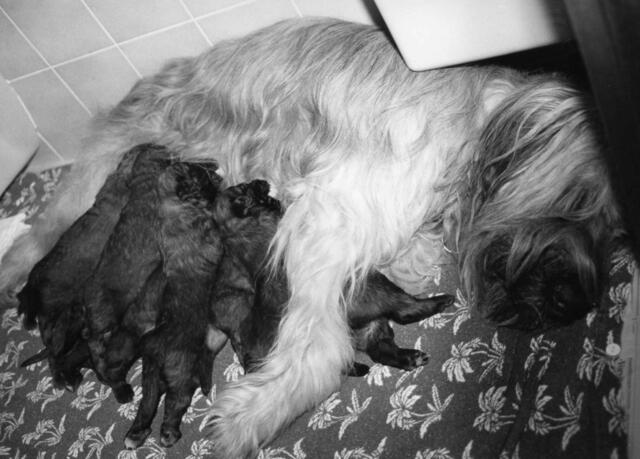 Donna  war eine super Mama!