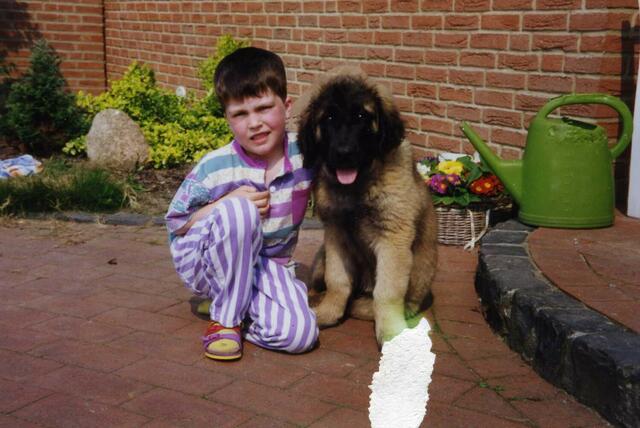 ... und auch Balu, der Papa,  war mal ein Welpe (hier mit Sohn Torben)!