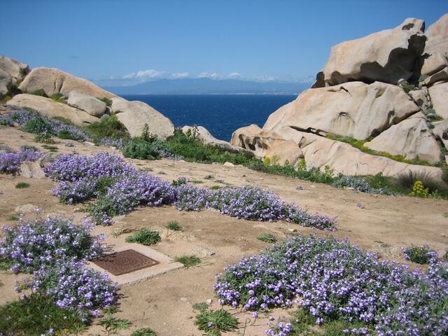 Capo Testa - im Norden von Sardinien