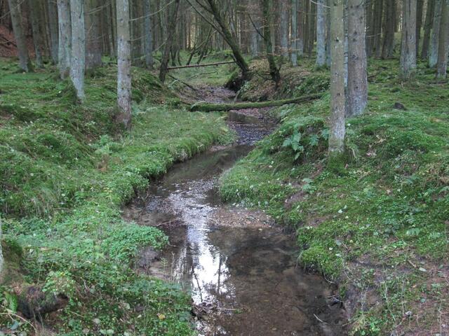Das Glasklare Quellwasser fließt in den Eisweiher....