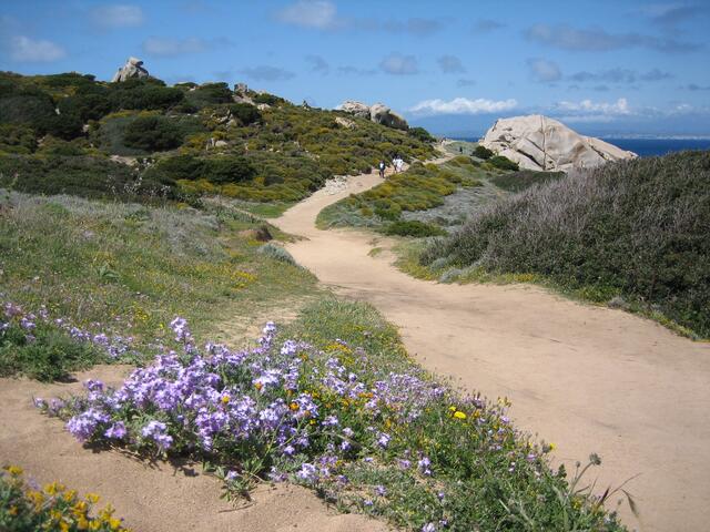 Capo Testa - im Norden von Sardinien mit Blick auf Korsika