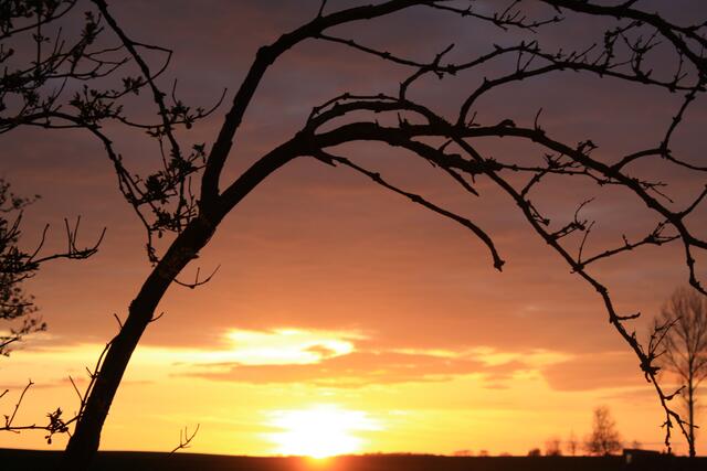 Sonnenuntergang in Lassan