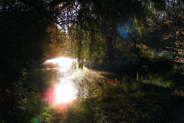 Ein Herbstmorgen bei Tiefstehender Sonne.