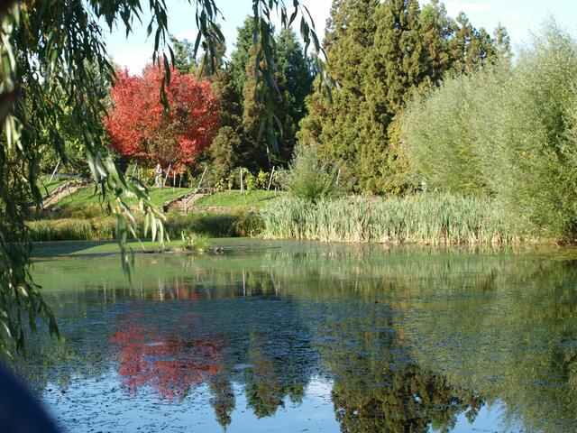 ein roter Punkt im Herbst