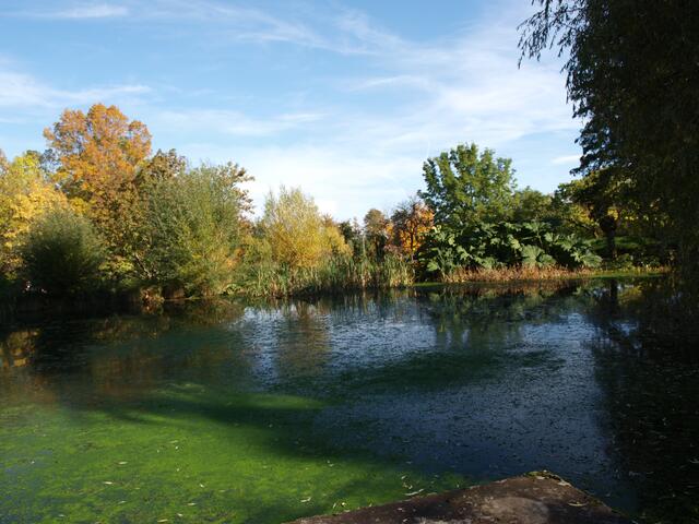 der Herbst ist bunt....