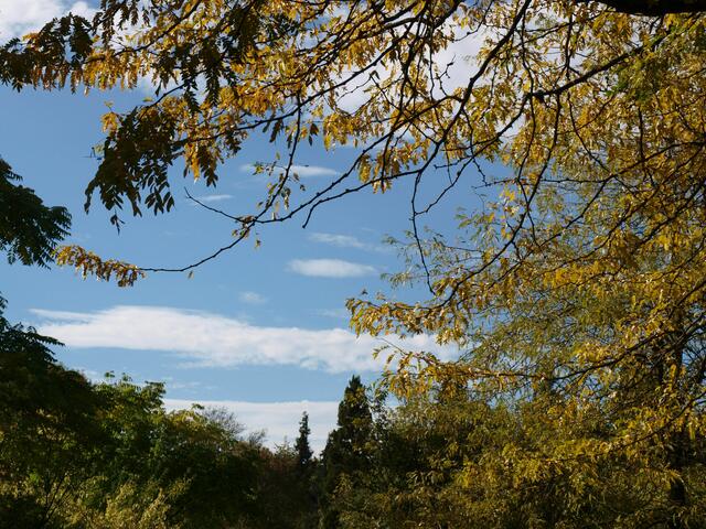 Himmel im Rahmen
