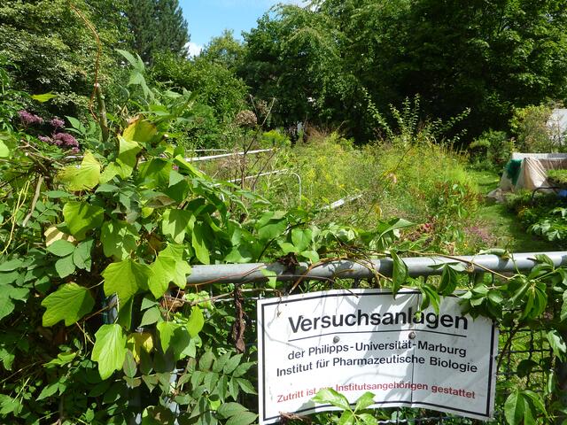 Ohne Worte.