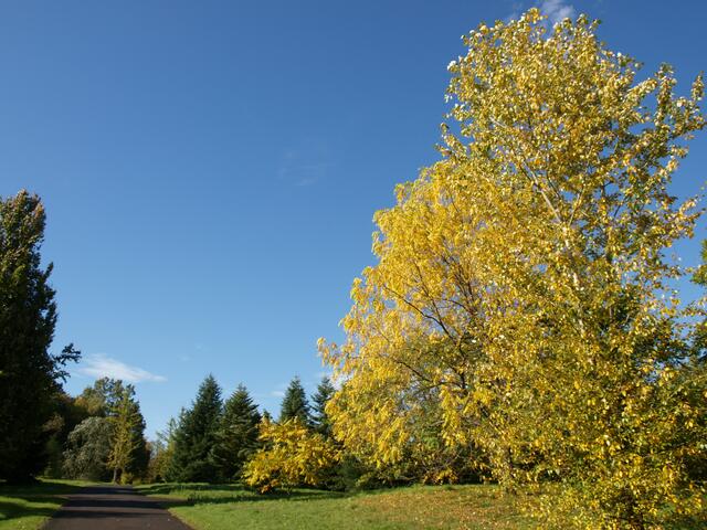 strahlender Herbstbeginn