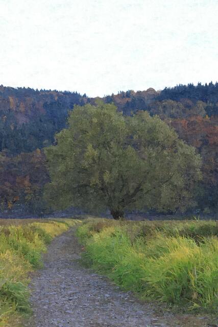 auch ohne Rahmen möglich