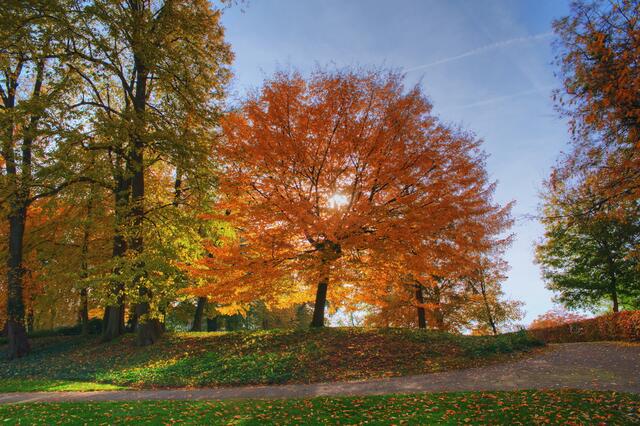 Ade, Goldener Oktober