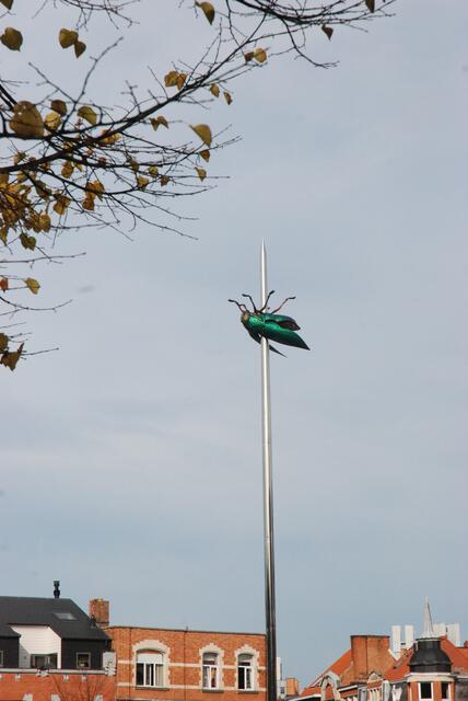 Belgien, Leuven, rathaus   -  merkwürdige art des fliegenfangs