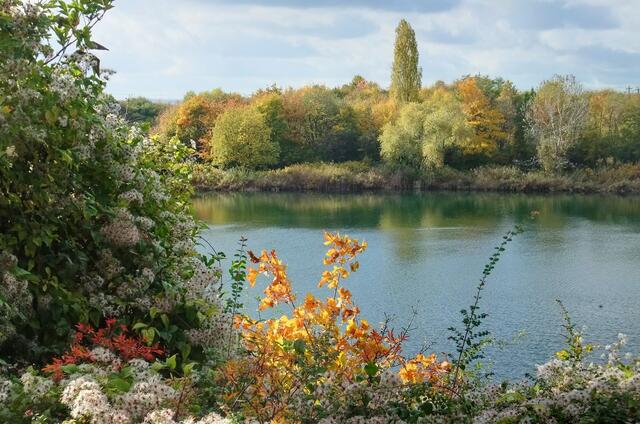 Herbst am Giftener See/Sarstedt