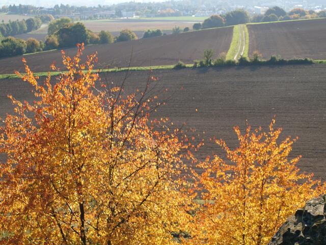 goldener Oktober