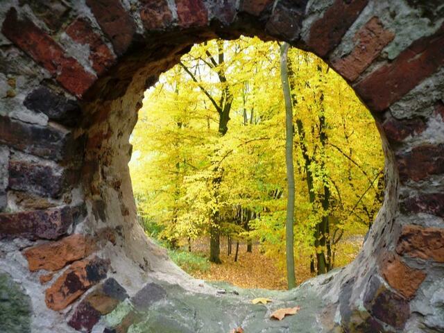 Ausblick