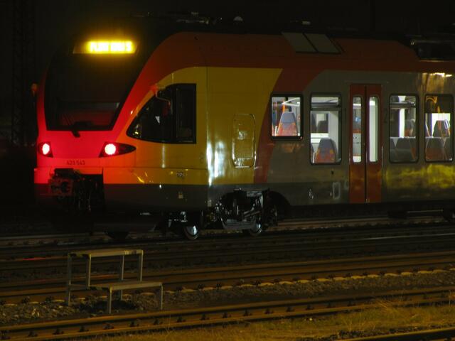 Vom anderen FLIRT wird die Schnauze ganz rot (2.11.2010)