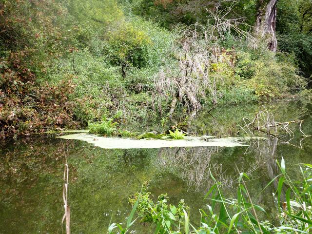 Kleine Insel im Wasser