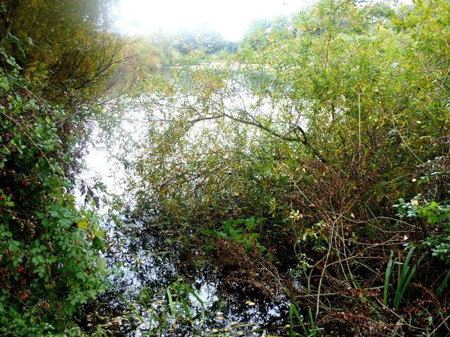 Ganz viel Wasser und Wildnis